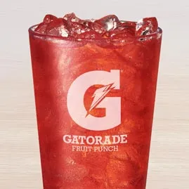 G2 GATORADE® FRUIT PUNCH