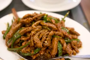 Shredded Beef W. Spicy Green Chili
