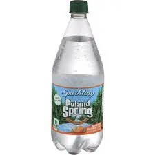 Poland Spring Water (Large)