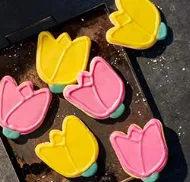 Tulip Cookie 6-Pack
