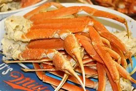 Snow Crab