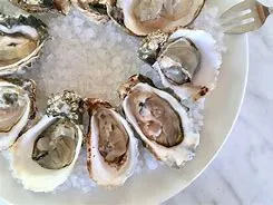 OYSTERS SHUCKED