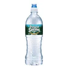 Poland Spring Water 16oz