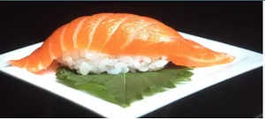 Salmon