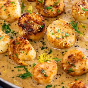 Sauteed Sea Scallops With Spicy Garlic Sauce