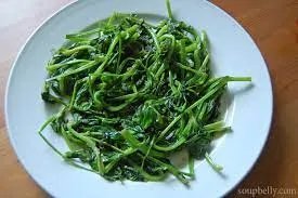 Snow Pea Shoots w. Garlic