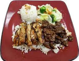 Chicken And Beef Teriyaki Combination Entree