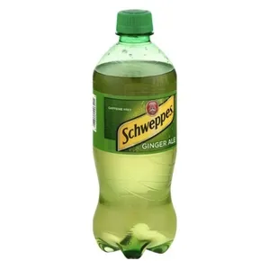 Ginger Ale 20 OZ