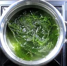 Mixed Seaweed Salad with Mango