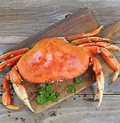 Whole Dungeness Crab