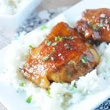 Soy Sauce Chicken Over Rice