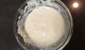 Wasabi Mayo Sauce