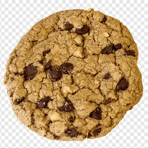 Oatmeal Raisin Cookie1