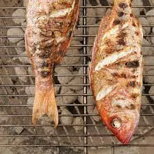 Red Snapper Grilled