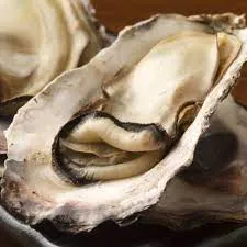 Roasted Oysters