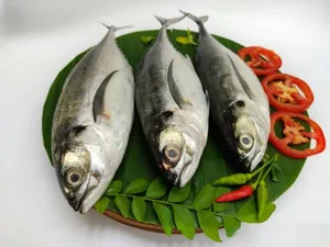 Mankada-1.KG