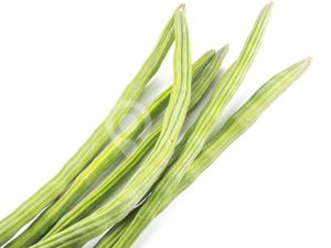 Drum Stick-250gm