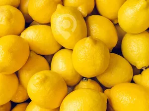 Lemon-500gm