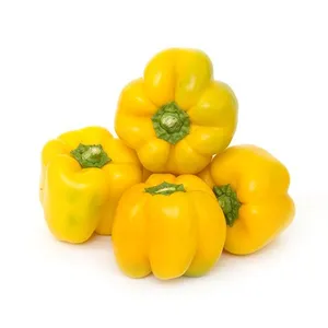 Bell Pepper (Yellow)