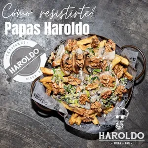 Papas Haroldo