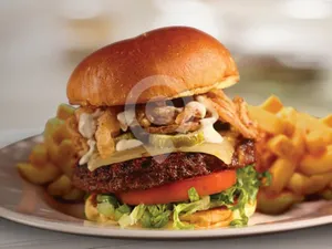 Firebird Burger-Individual