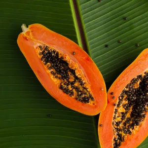 Papaya