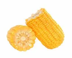 Large Cobette (Corn)