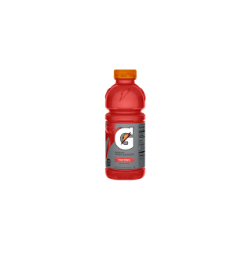 Gatorade Fruit Punch