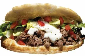 Lamb Gyro platter