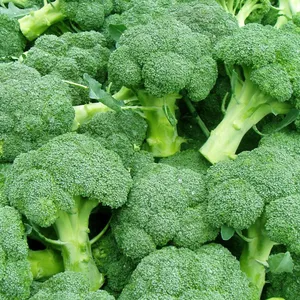 Brocoli