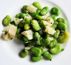Fava Beans Salad with Lemon Olive Oil Dressing