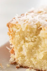 Freshly Baked Coconut Cake