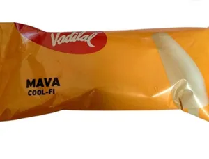 Vadilal Mava Kulfi
