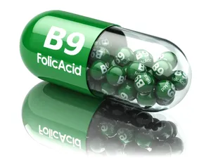 Folic B9