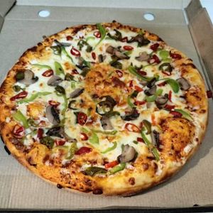 Hot Warm Bite Pizza