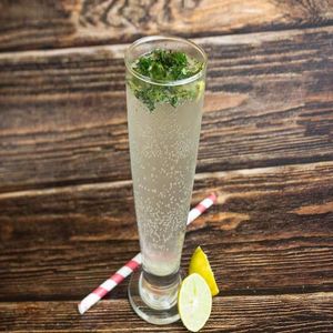 Mint Mojito