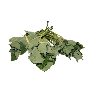 6 Bundles Fresh Organic Leafy Kontomire, Cocoyam leaves, Taro Leaves, Taro Green Vegetable