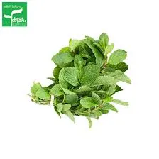Mint Per bundle