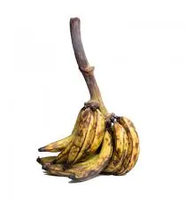 Ripe Plaintain Bundle
