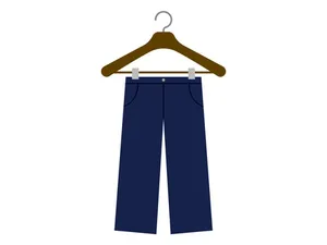 Trouser Steam Iron