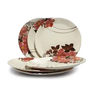 Melamine Dinner Plates