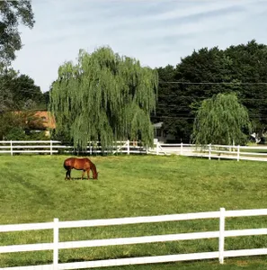EquiGrass Premium Rhodes