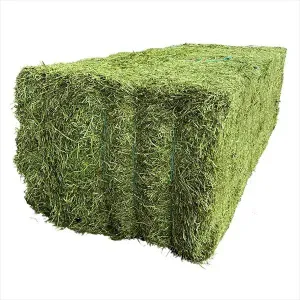 HorseGreen Alfalfa Blocks