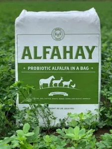 Premium Packed Alfalfa Hay