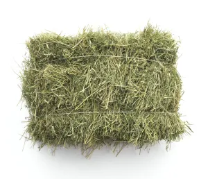Premium Rhodes Grass Hay