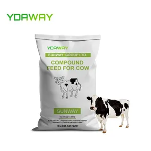 Premium Dairy Cattle Feed
