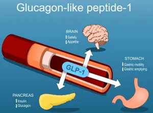 GLP-1 Receptor Agonists