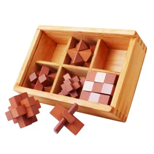 Wooden Brain Teaser Puzzle Set
