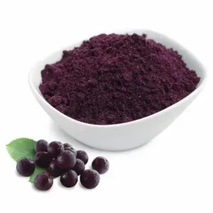 Elderberry Extract