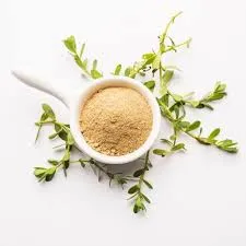 Bacopa Monnieri (Brahmi)